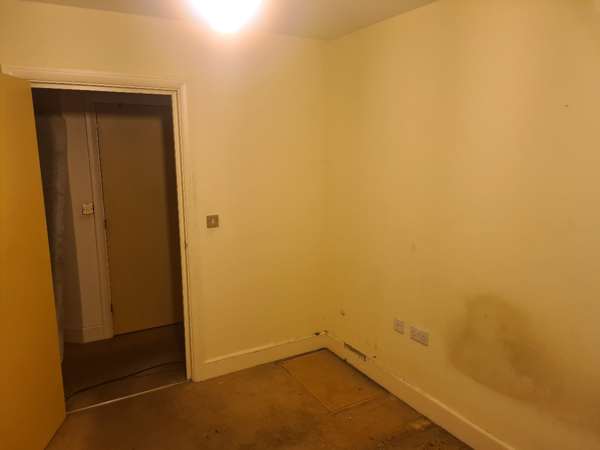 Painter and Decorator: Image 11