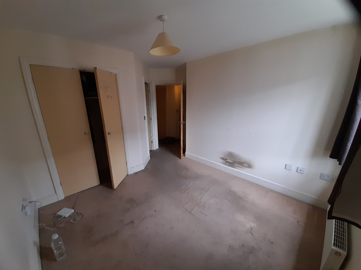 Painter and Decorator: Image 8