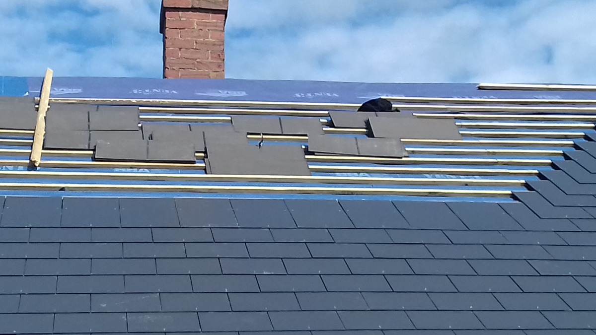 Builder: Image 5