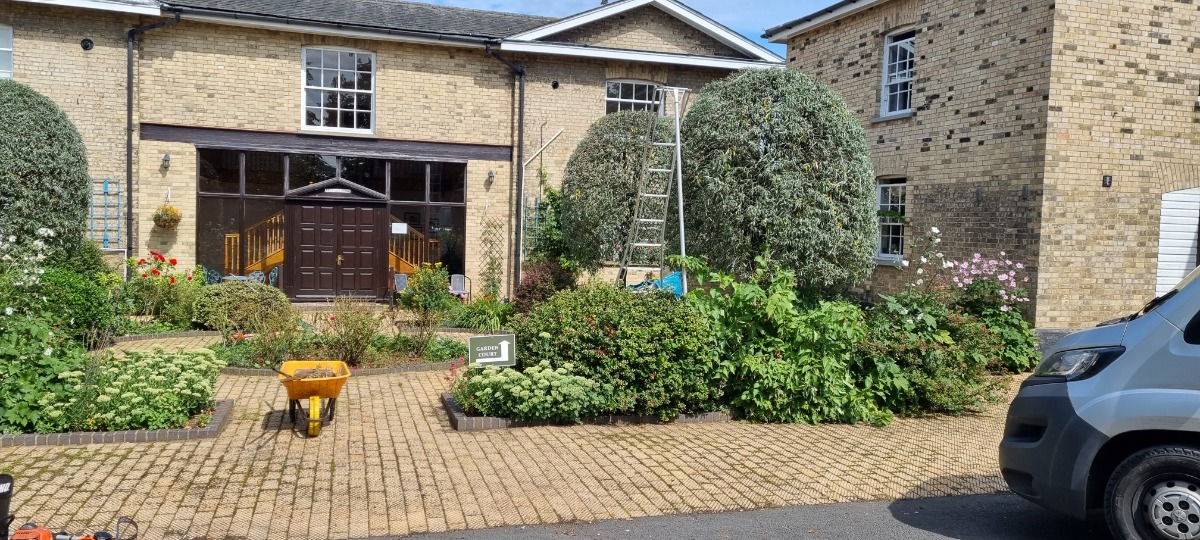 Gardener: Image 9