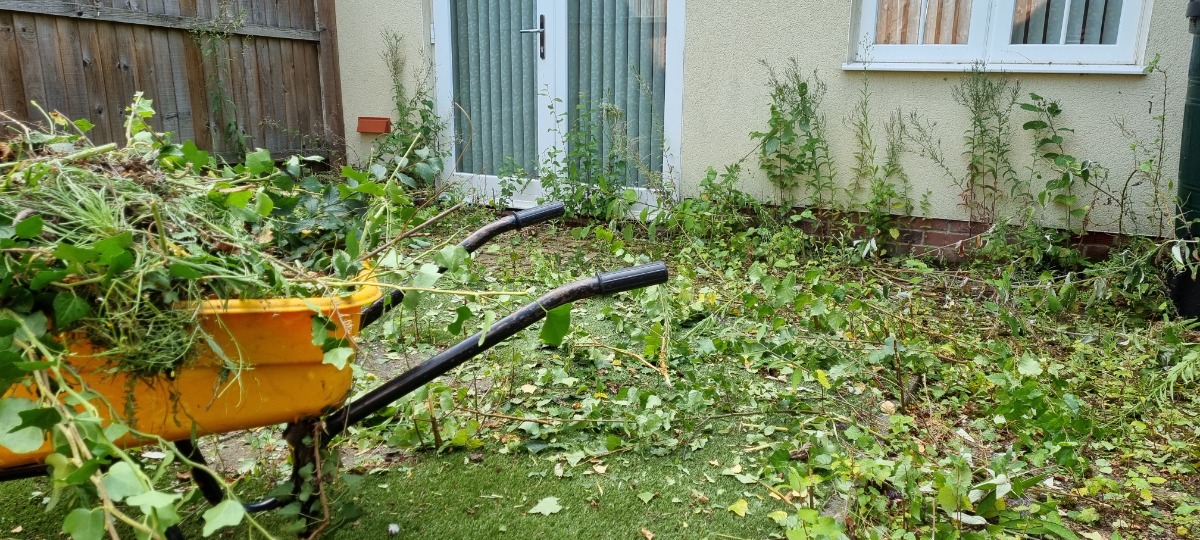 Gardener: Image 7