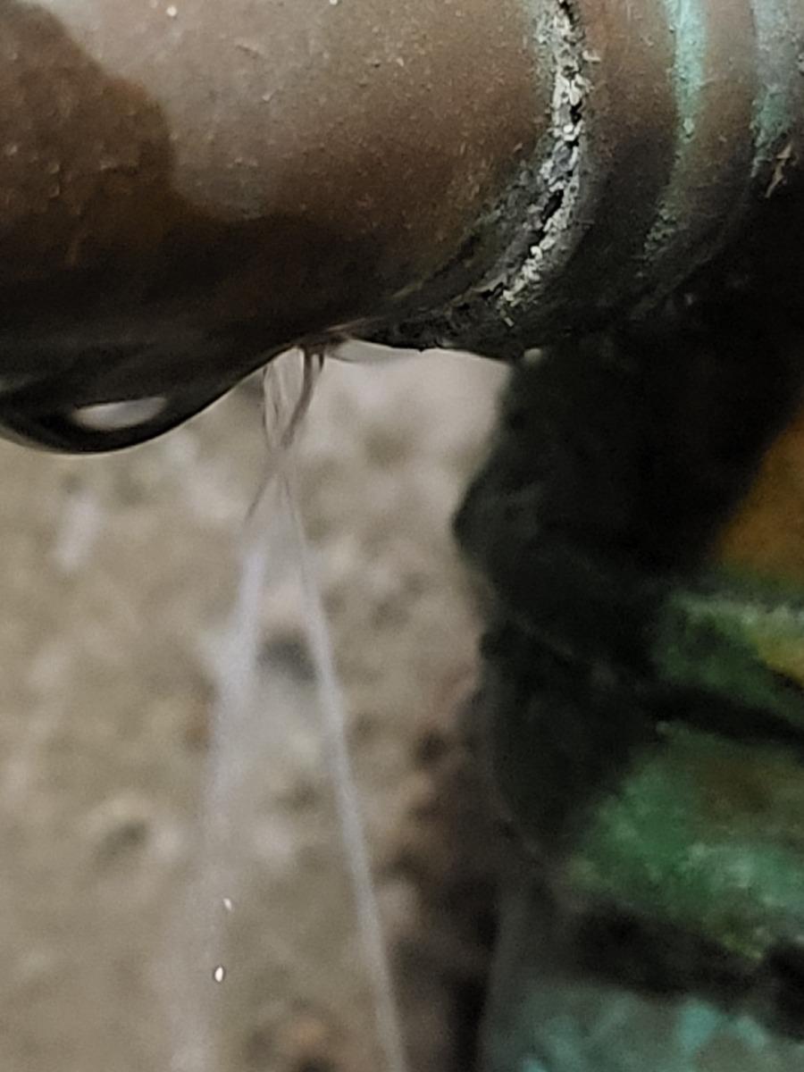 Plumber: Image 76