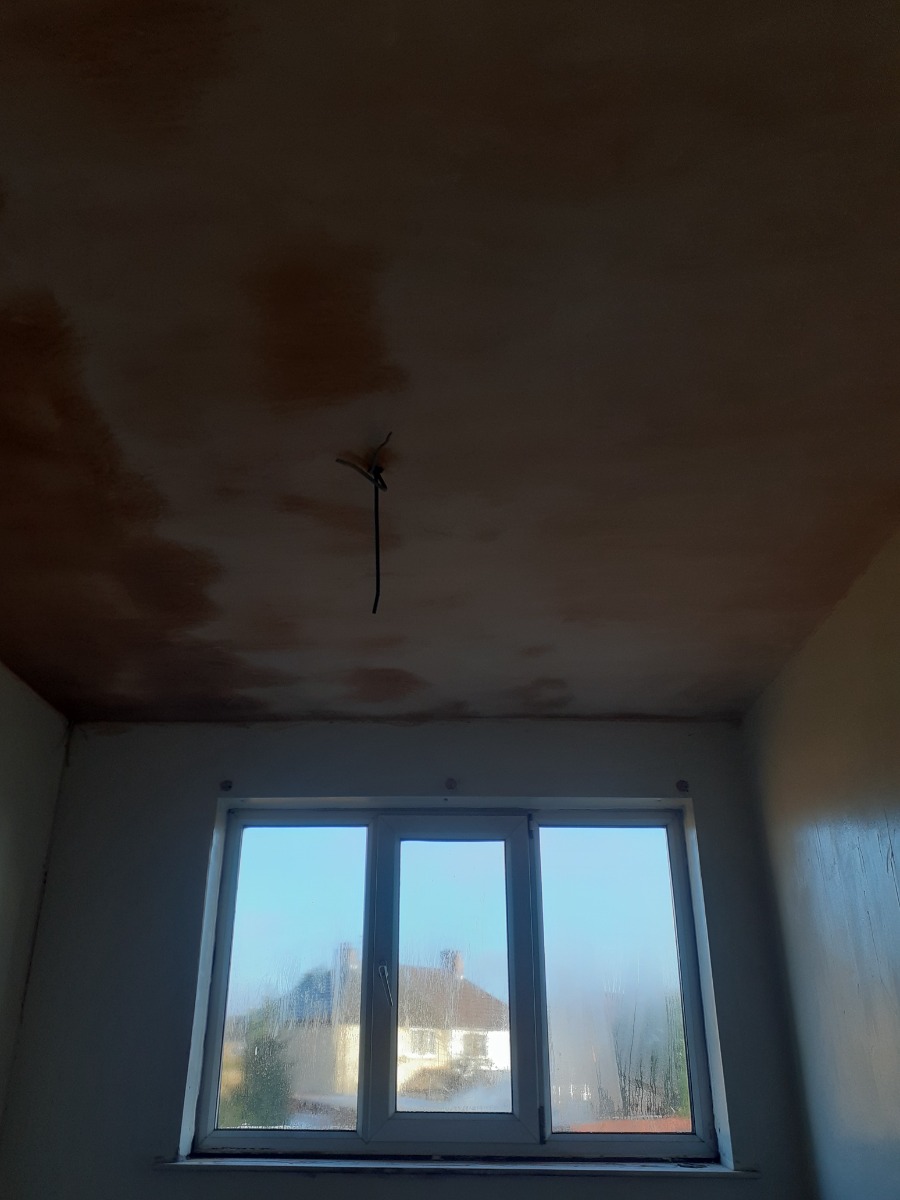 Company: Image 10