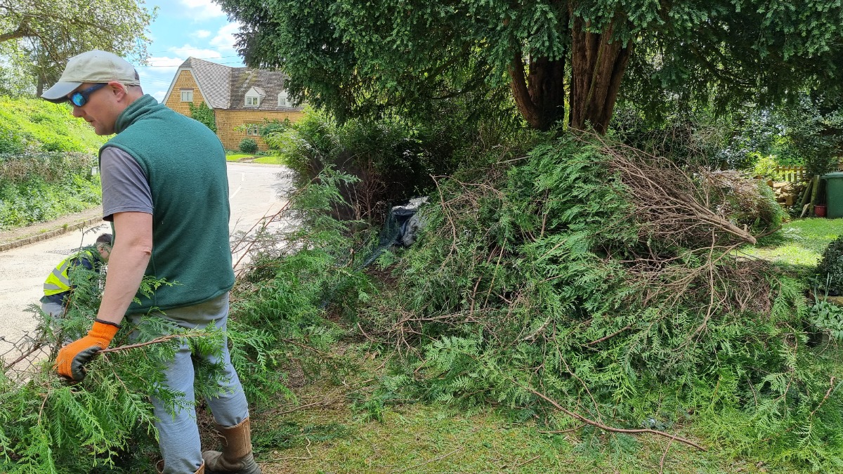 Landscaper: Image 22