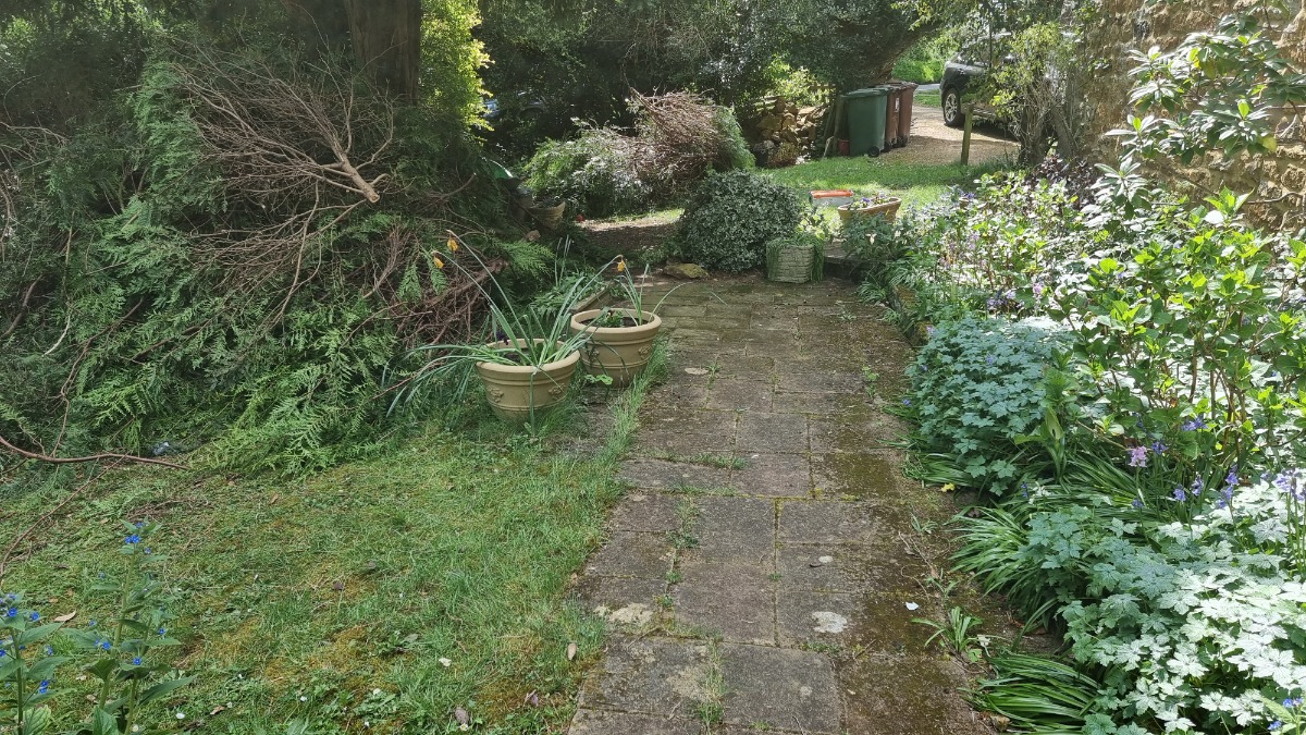 Landscaper: Image 24