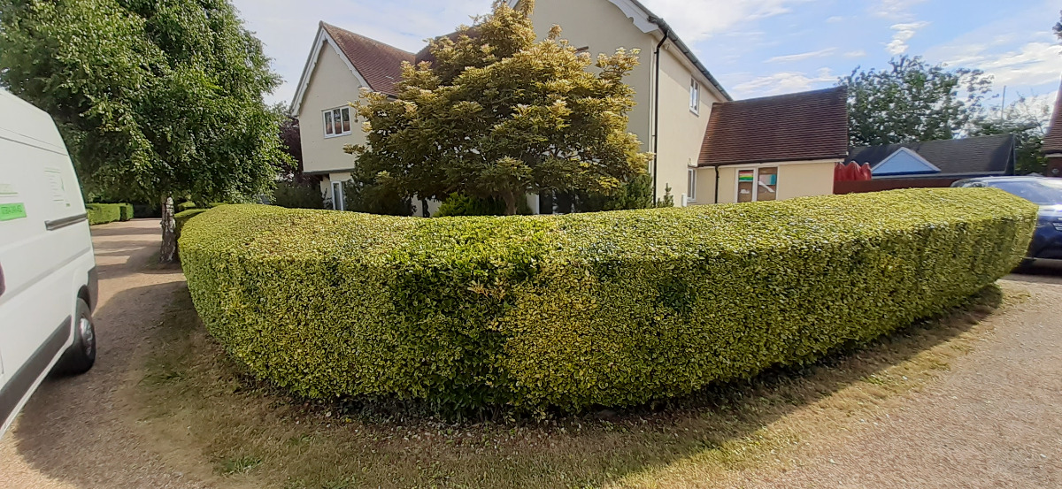 Gardener: Image 1