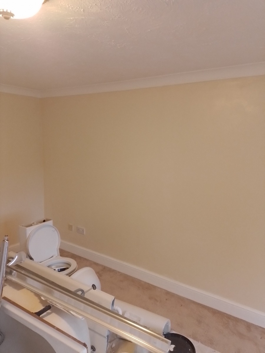 Painter and Decorator: Image 9