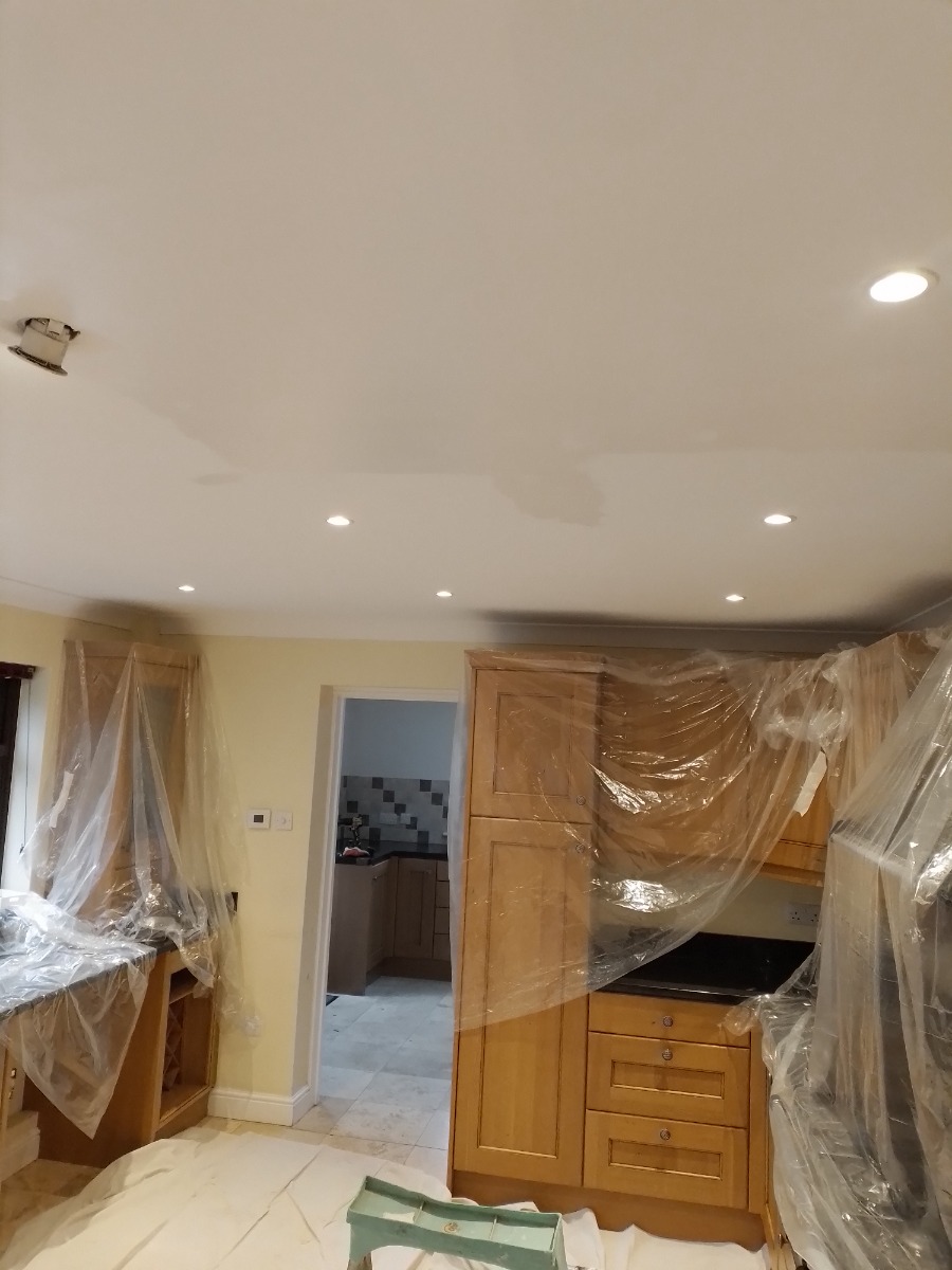 Painter and Decorator: Image 7