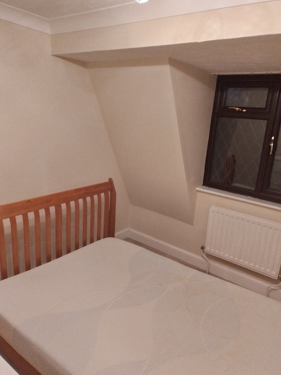 Painter and Decorator: Image 6