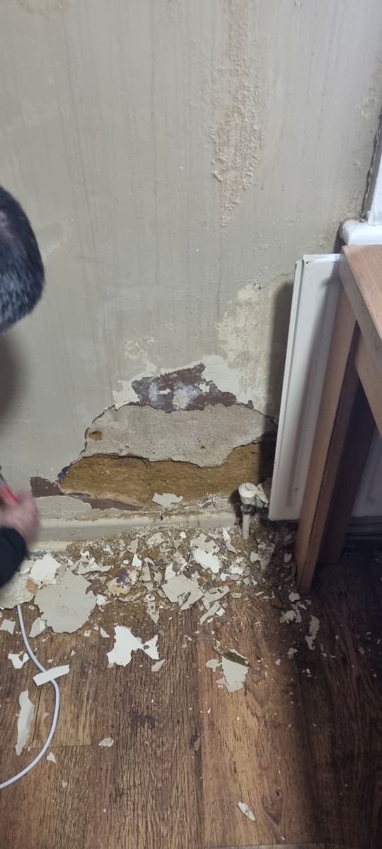 Painter and Decorator: Image 1