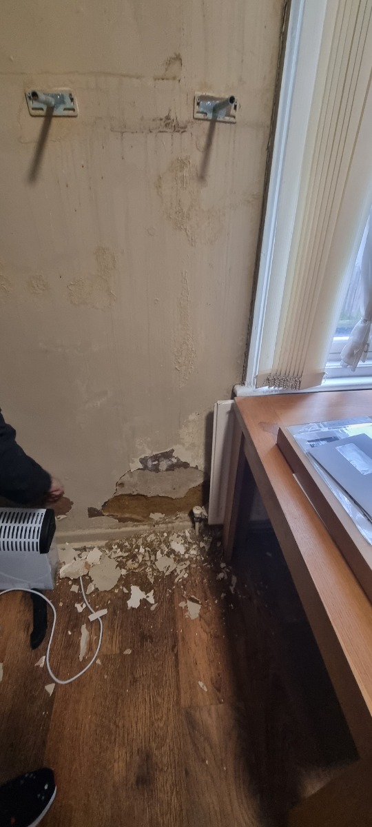 Painter and Decorator: Image 2