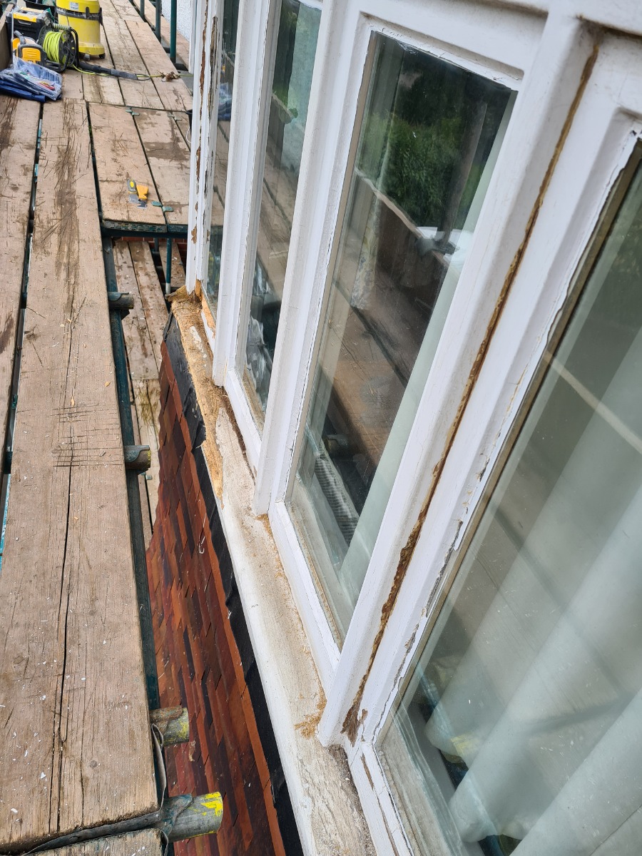 Painter and Decorator: Image 19
