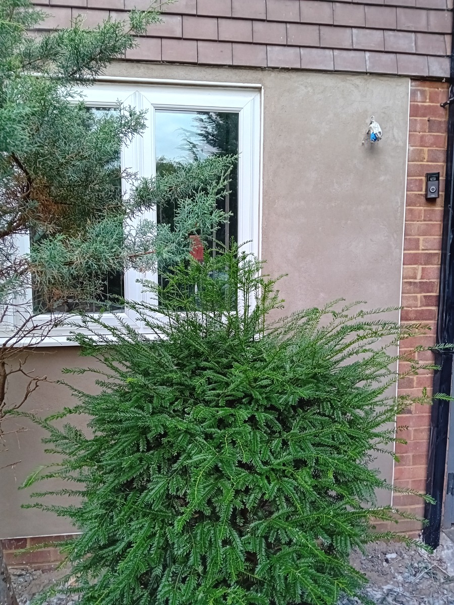 Company: Image 130
