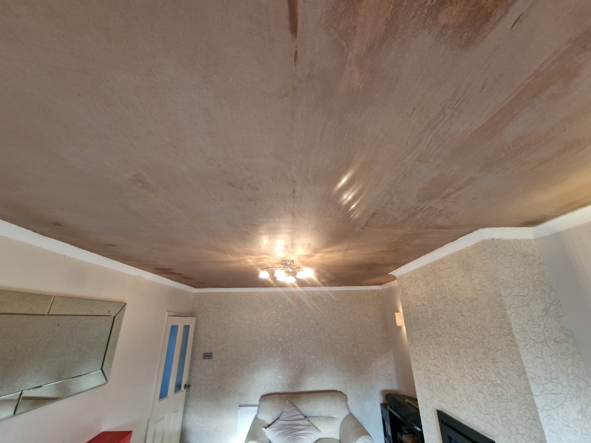Plasterer: Image 26