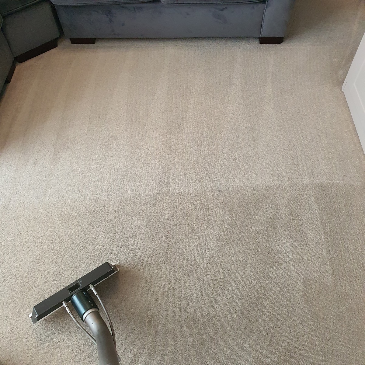 Cleaner: Image 2