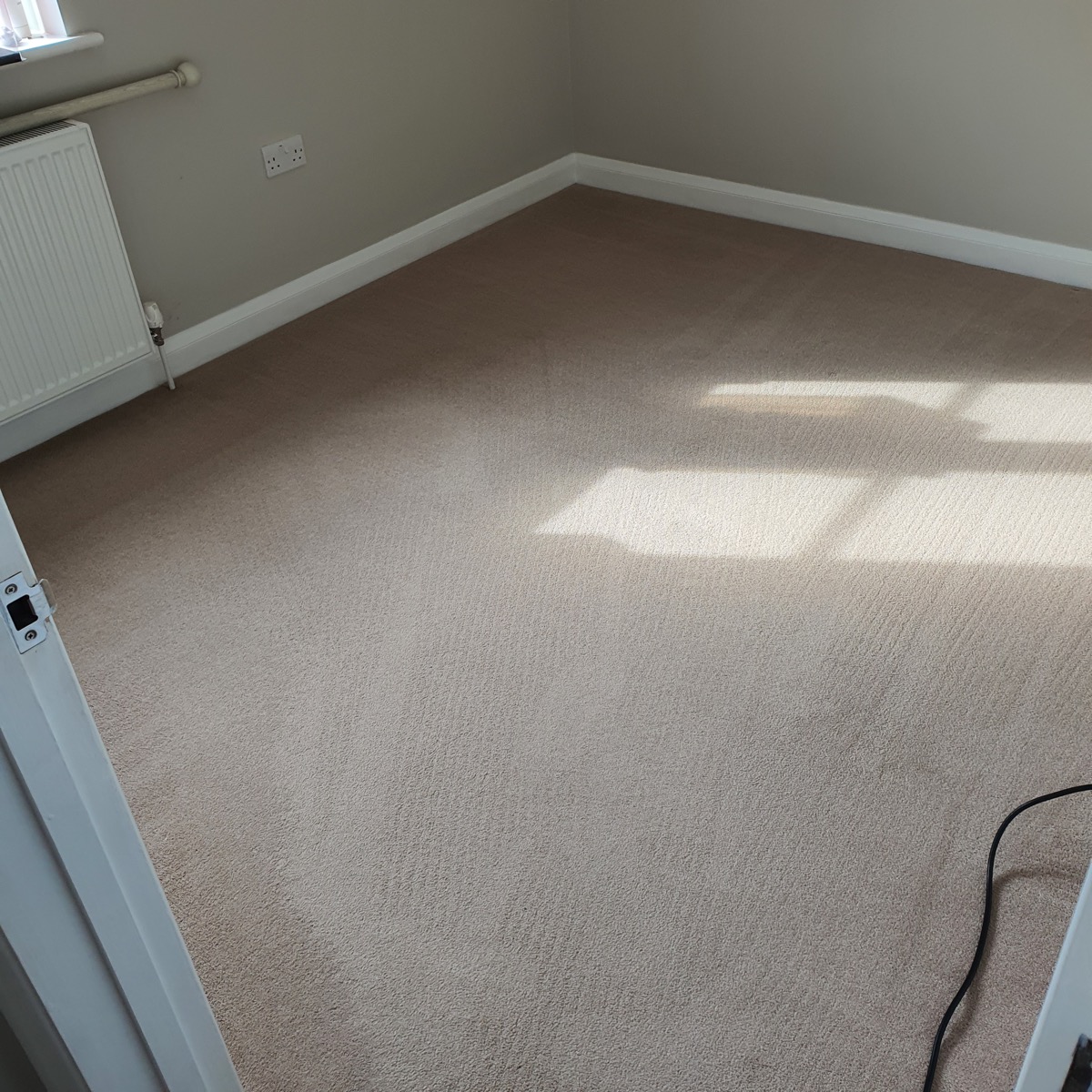 Cleaner: Image 1