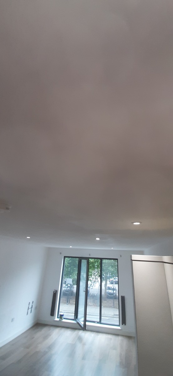 Painter and Decorator: Image 4