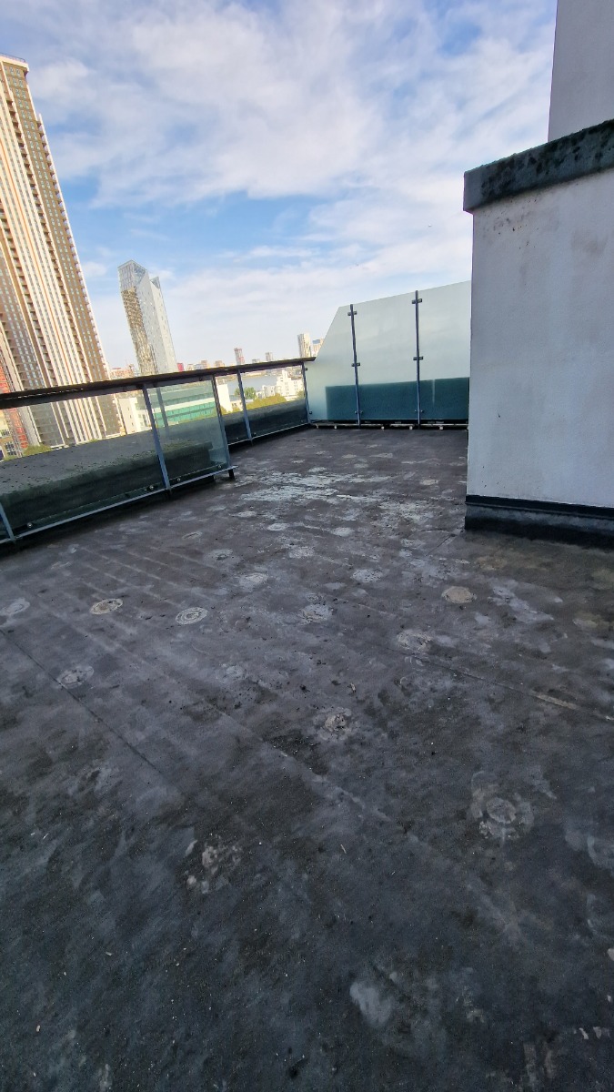 Profile: Image 7