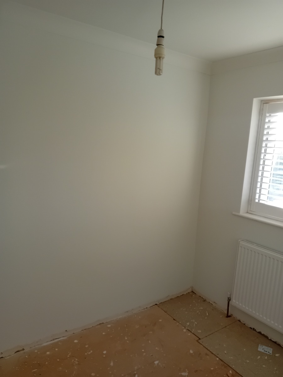 Company: Image 15