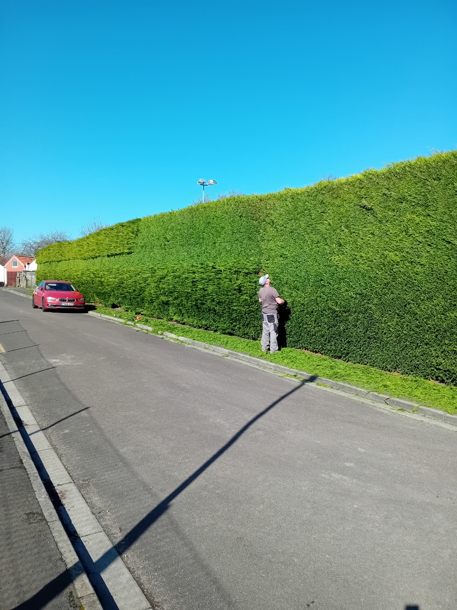 Gardener: Image 5