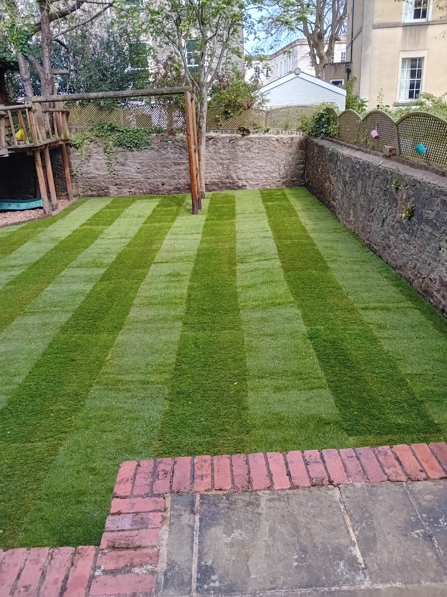 Gardener: Image 6