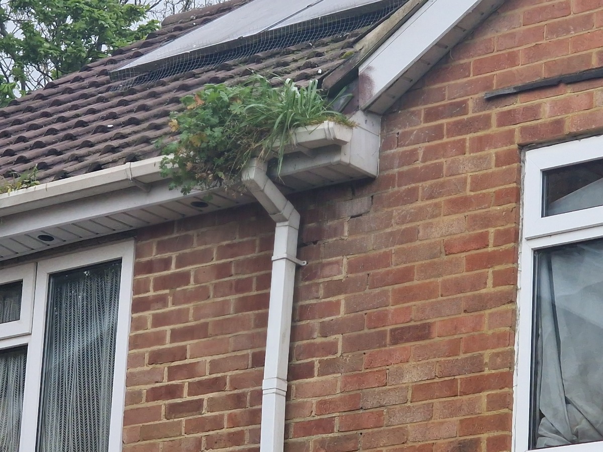 Company: Image 28