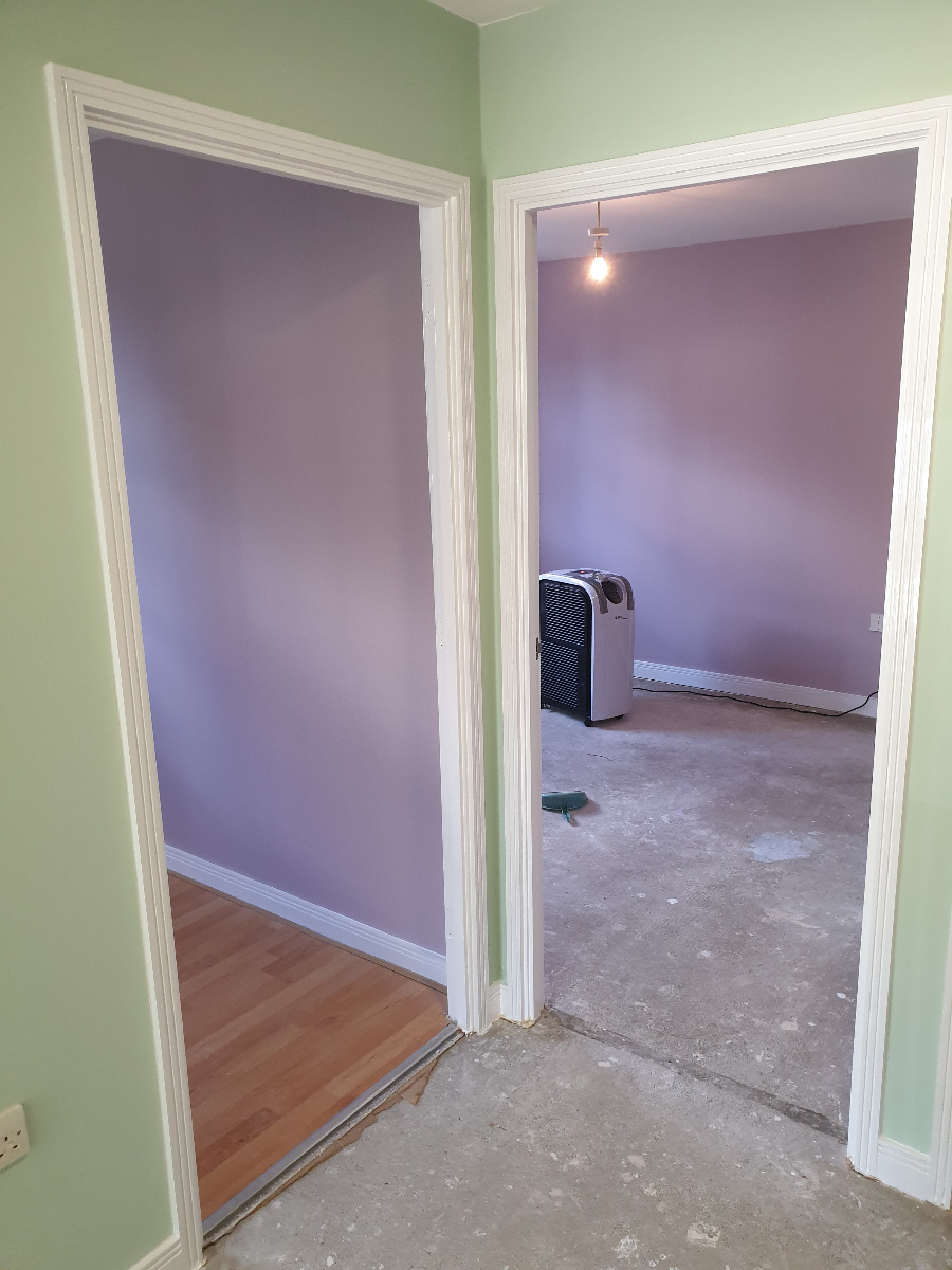 Painter and Decorator: Image 4