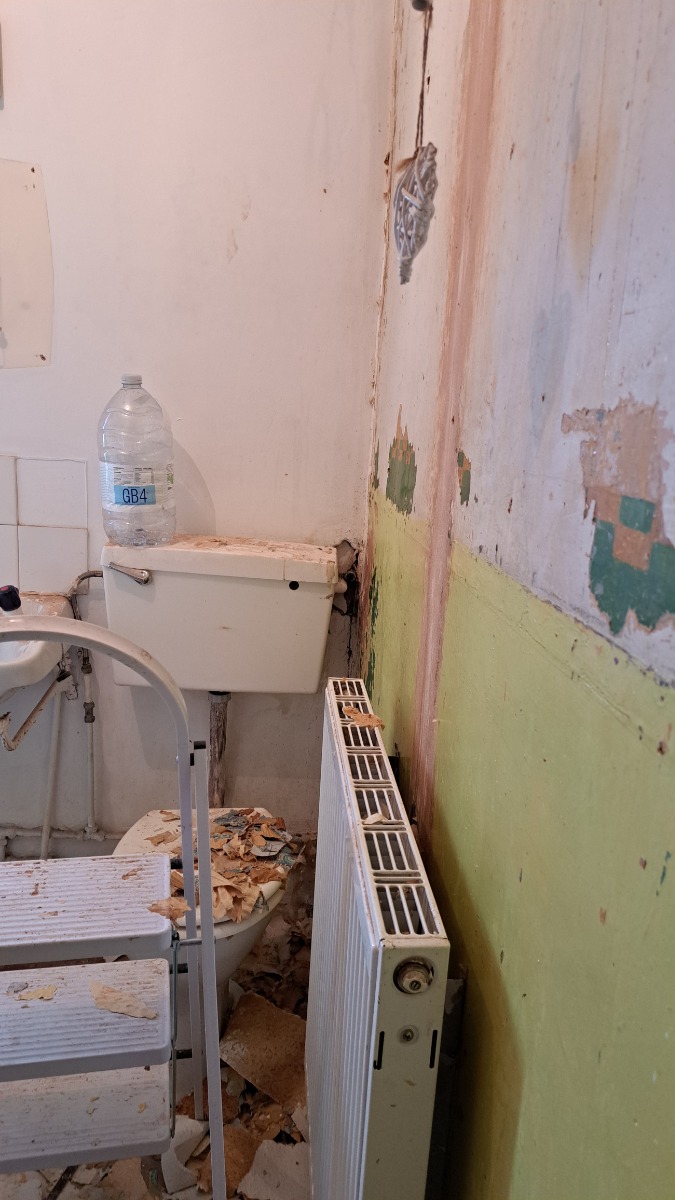 Handyman: Image 1