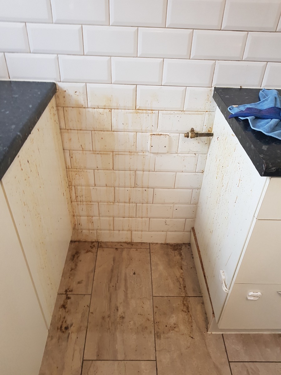 Cleaner: Image 1