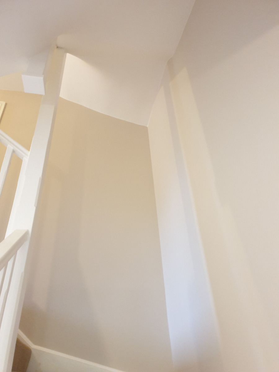 Painter and Decorator: Image 21