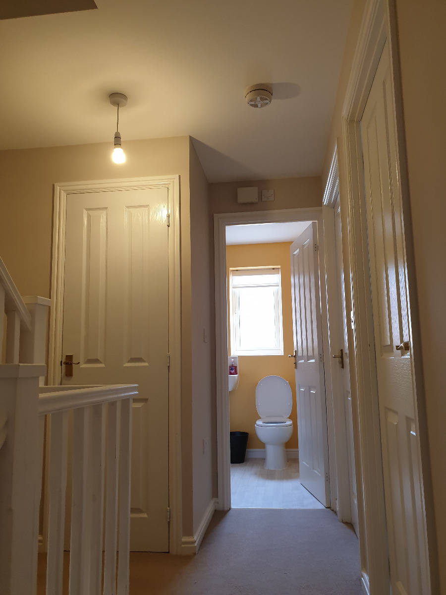Painter and Decorator: Image 20