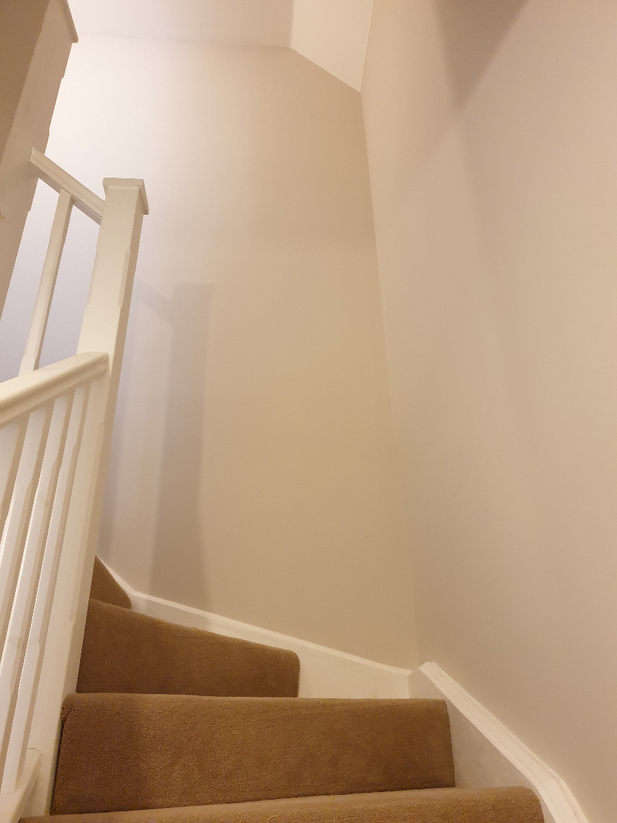 Painter and Decorator: Image 19