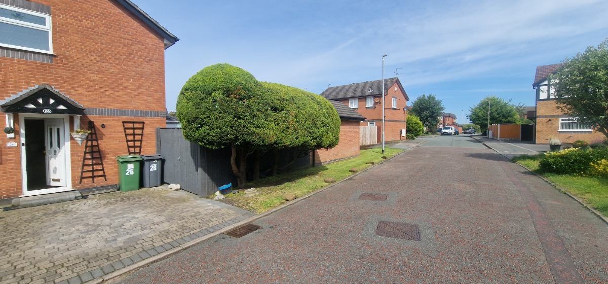 Gardener: Image 6