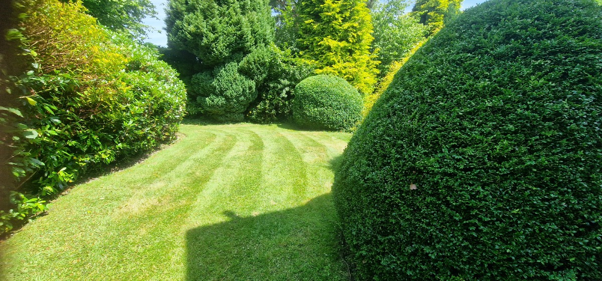 Gardener: Image 5