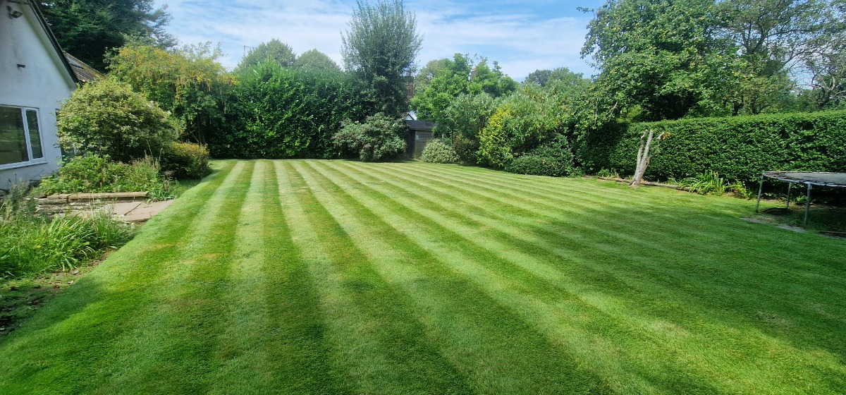 Gardener: Image 2