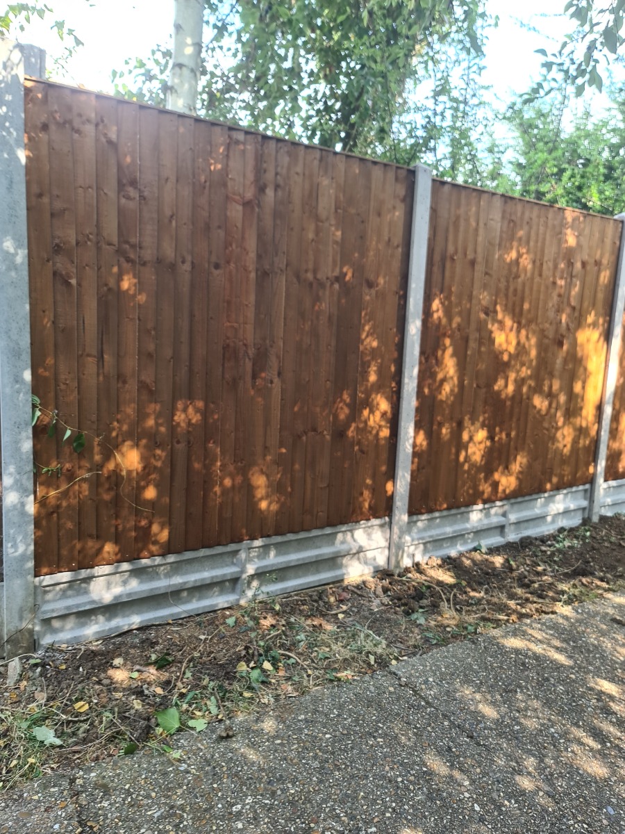 Painter and Decorator: Image 49