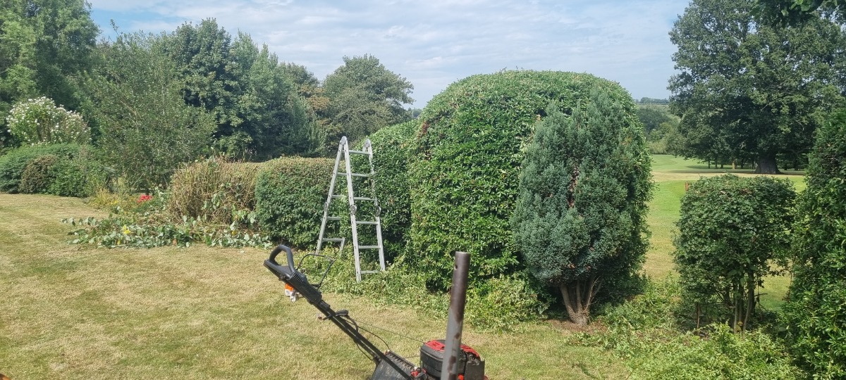Gardener: Image 1