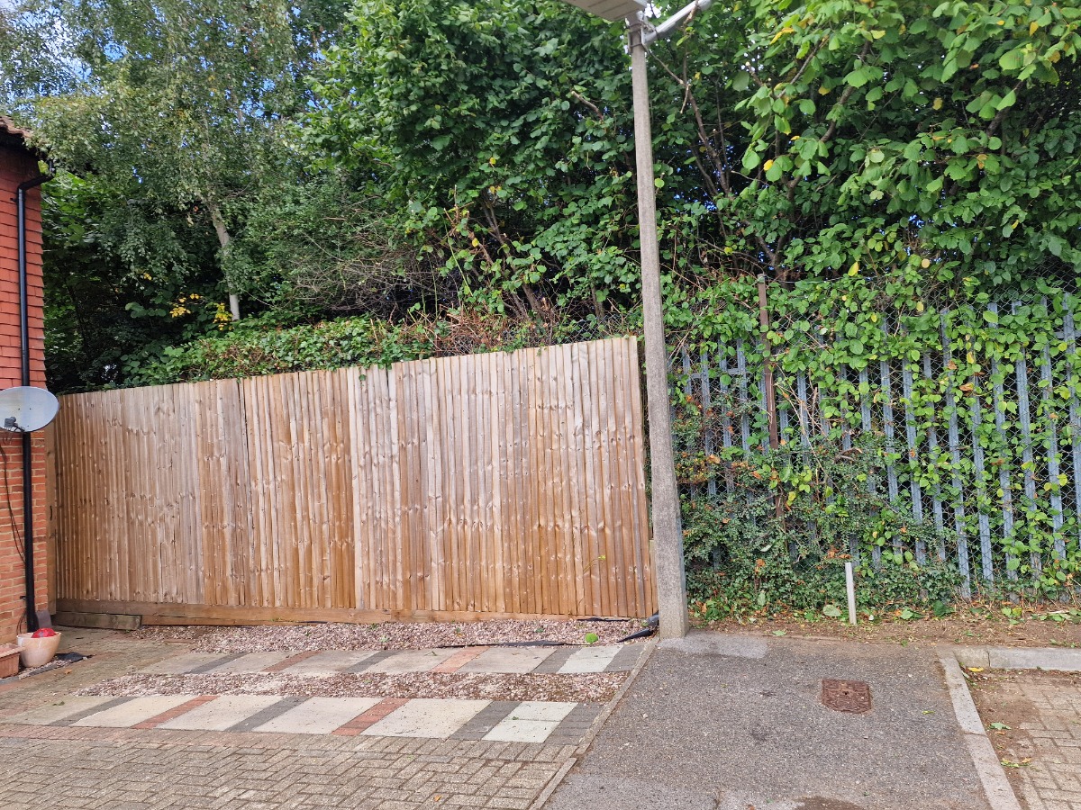 Company: Image 11