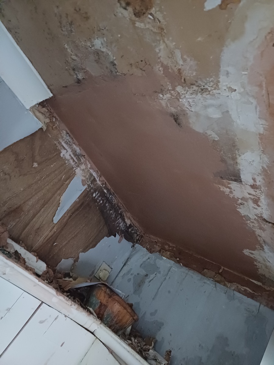 Plasterer: Image 6