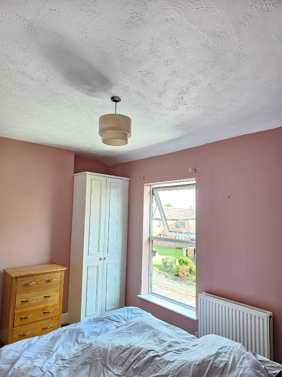 Painter and Decorator: Image 20