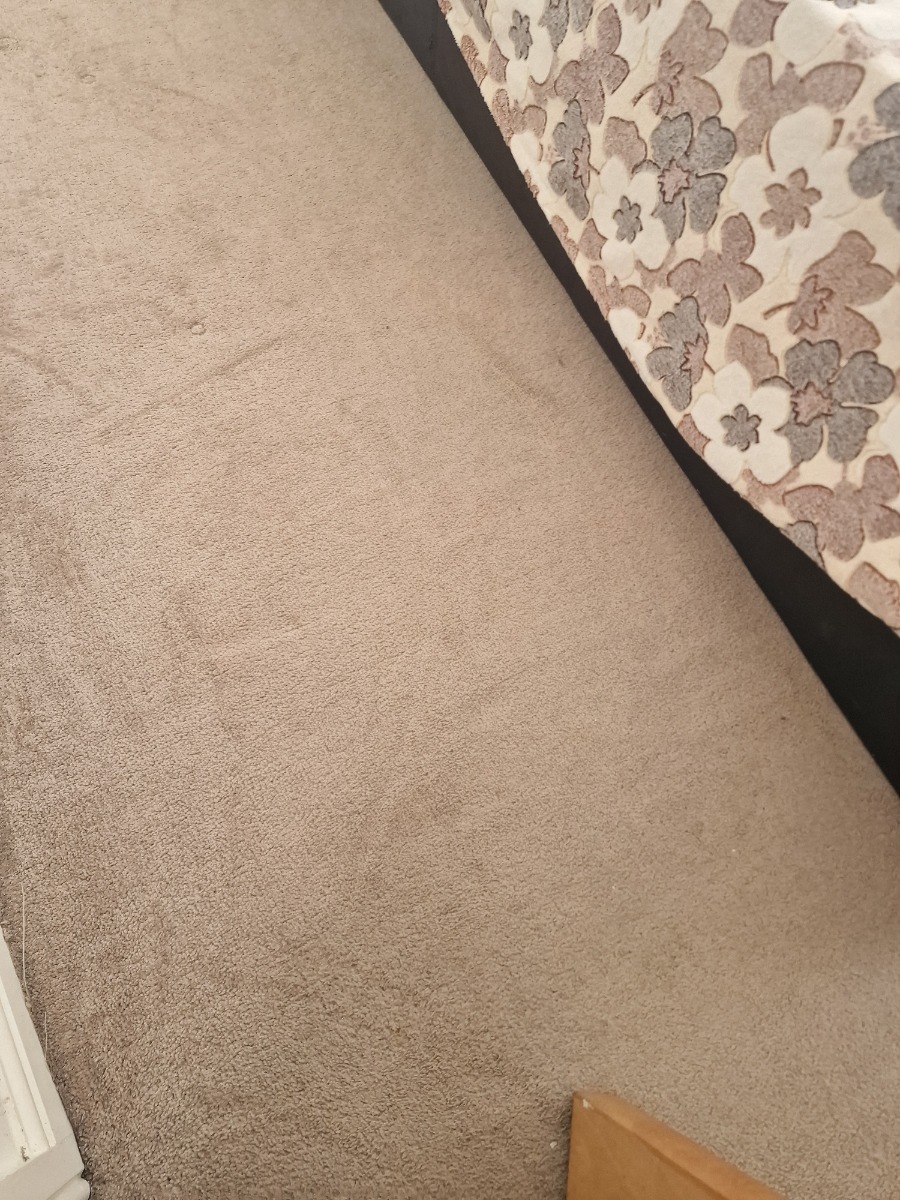Company: Image 24