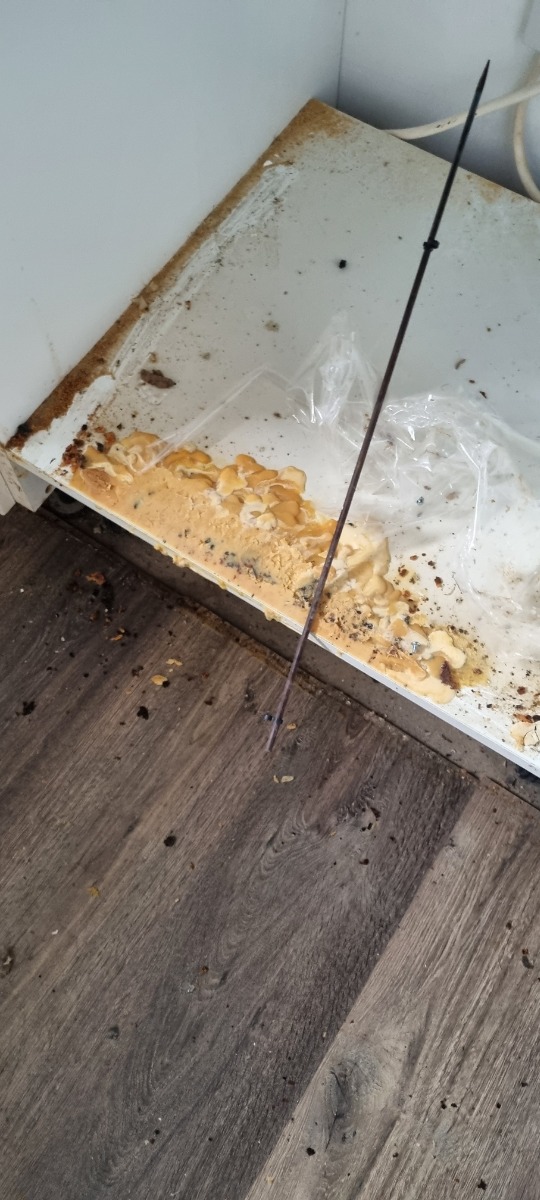 Cleaner: Image 3