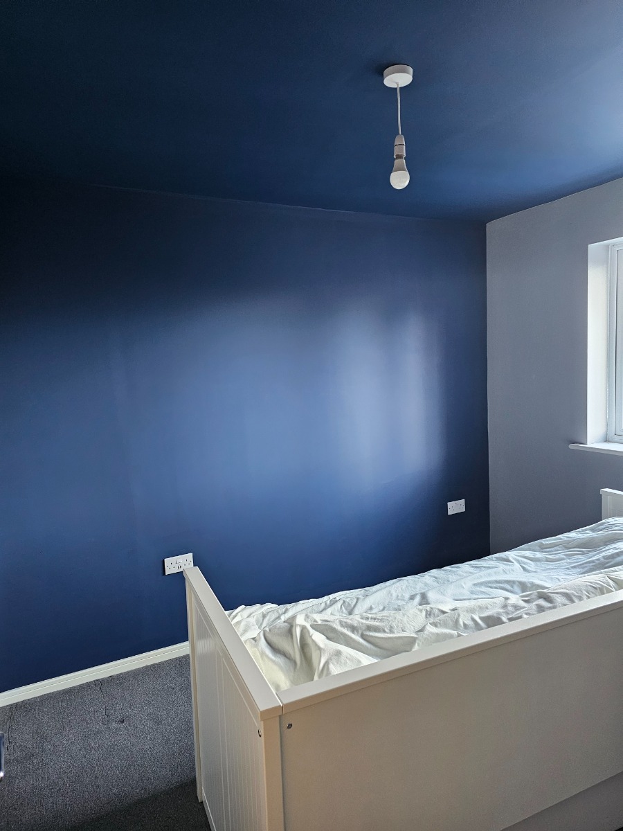 Painter and Decorator: Image 19