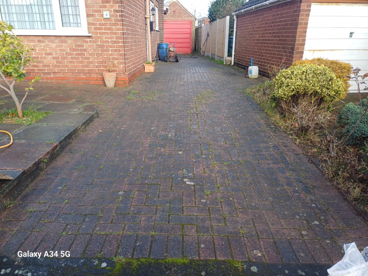 Company: Image 12