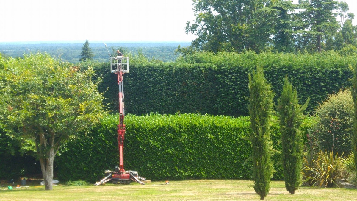 Gardener: Image 5
