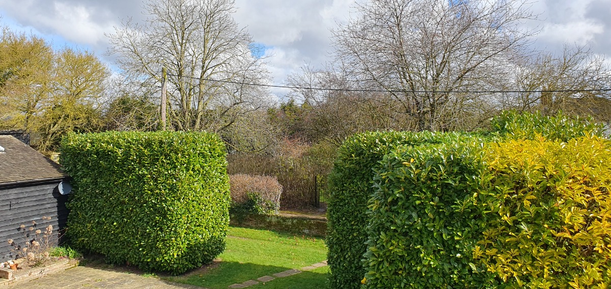 Gardener: Image 1