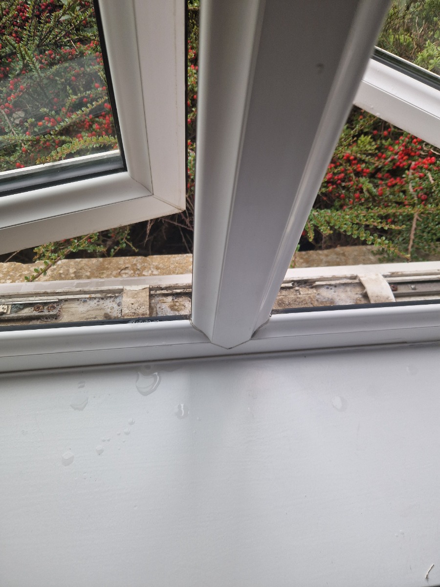 Cleaner: Image 12