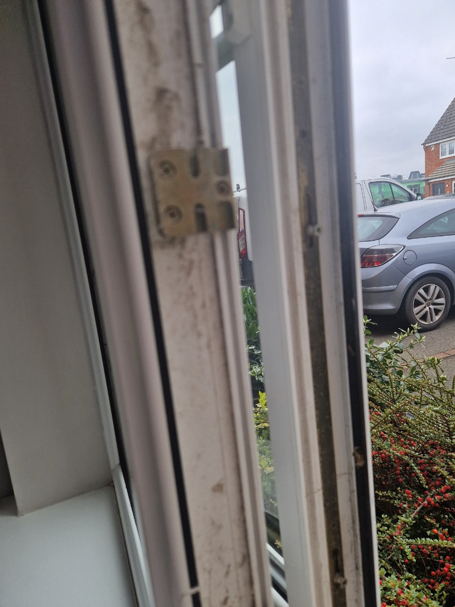 Cleaner: Image 13
