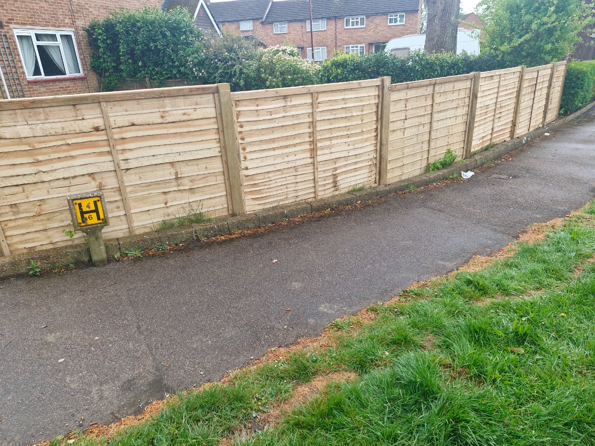Landscaper: Image 1