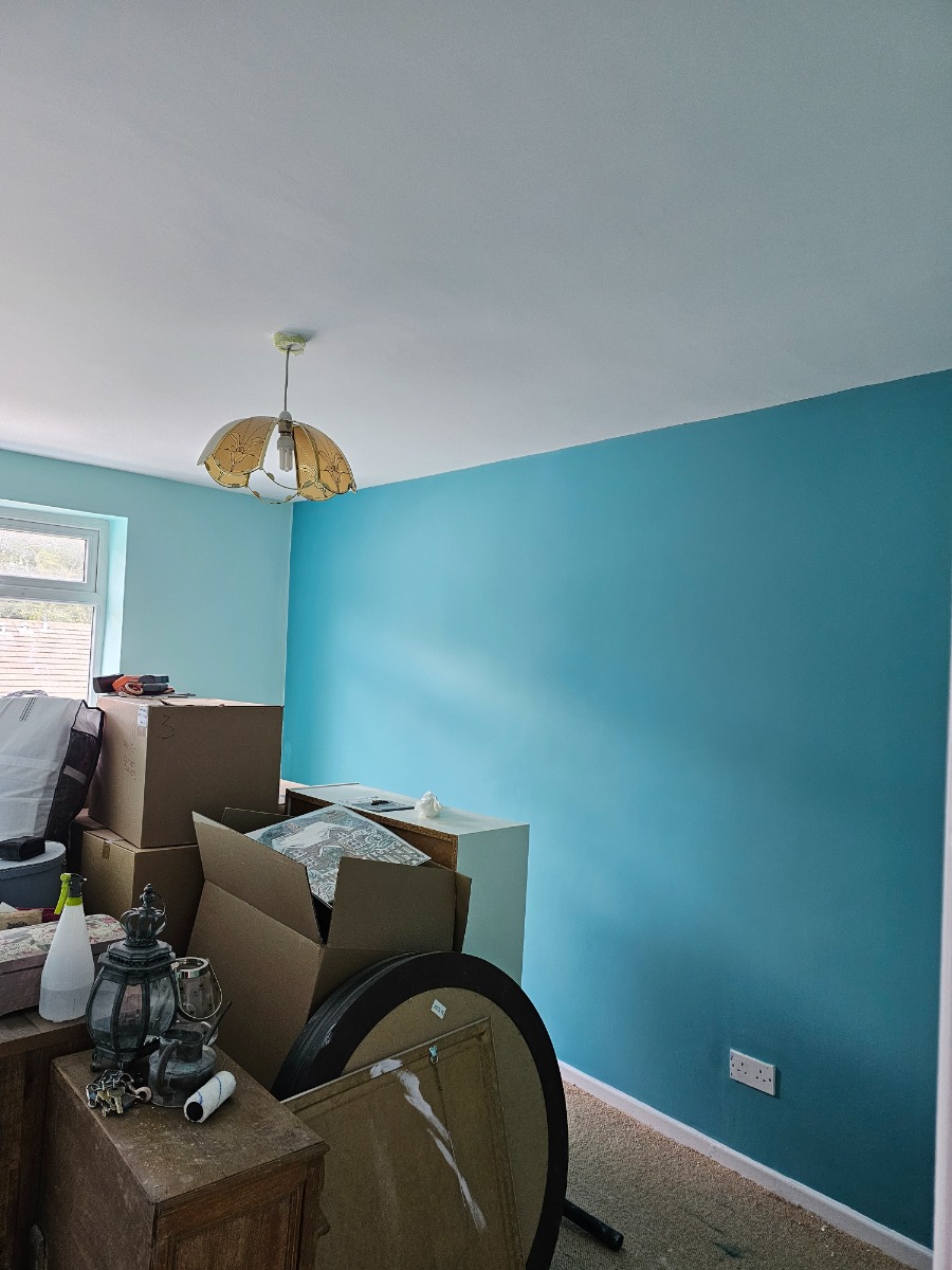 Painter and Decorator: Image 10